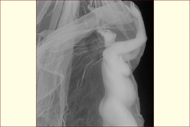 Pregnant Women Photographs